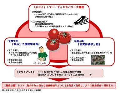 カゴメ