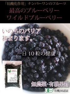 ワイルドブルーベリー