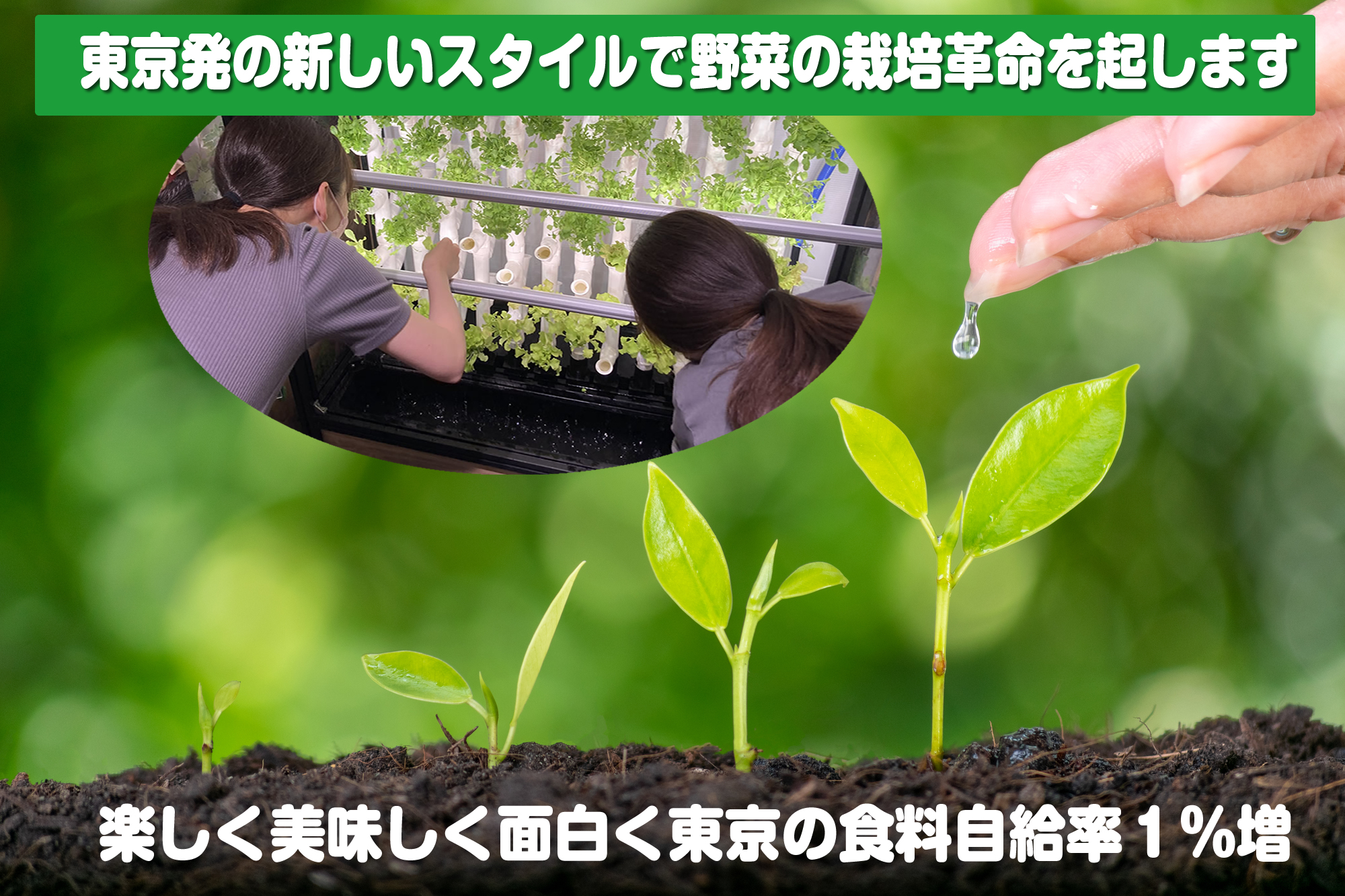 ファームウォール
