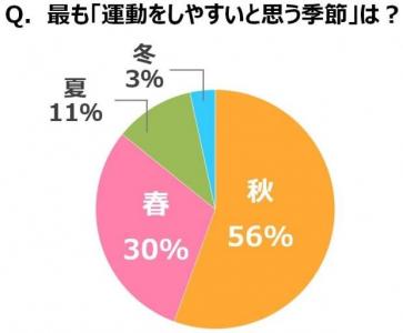 運動ダイエット