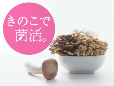 菌活の日