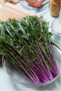 健康野菜