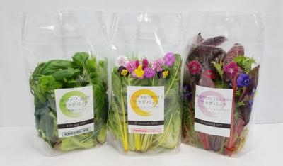 機能性野菜