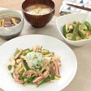 タニタ