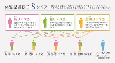ＤＮＡ美容体質別