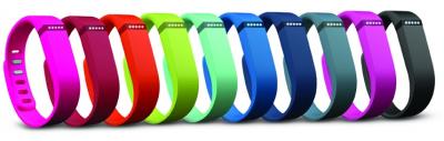 Fitbit Flex