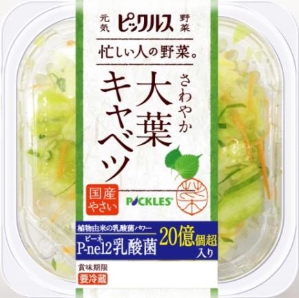 大葉キャベツ