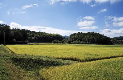 鳥取