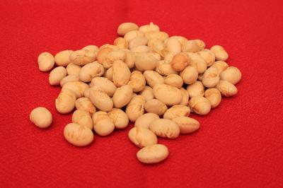 ソイタリアン