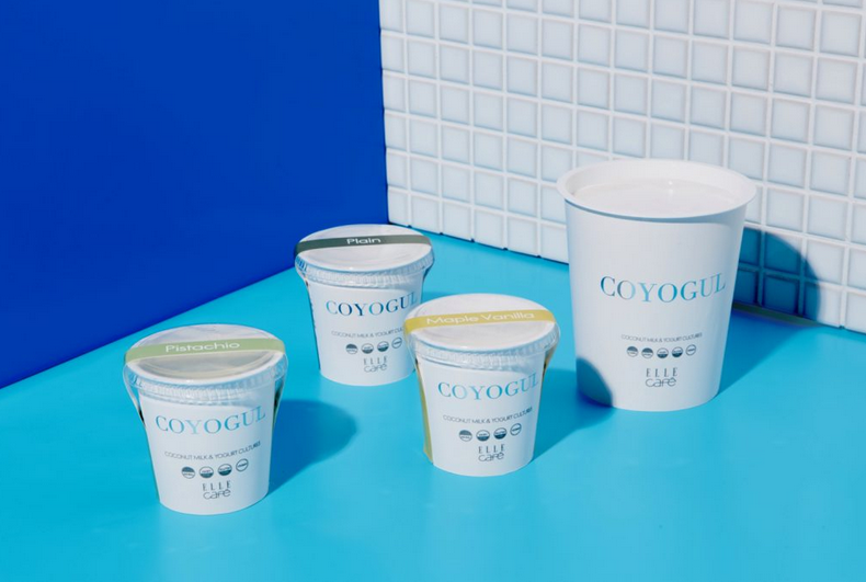 COYOGUL