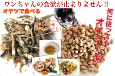 パリポリカルシウム