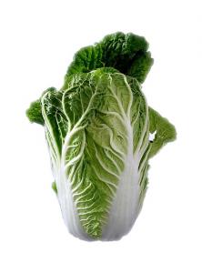 九州力作野菜