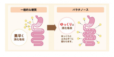 スローカロリー倶楽部
