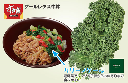 ケールレタス牛丼