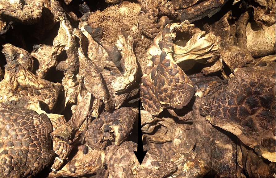 ジビエ肉