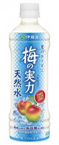 梅の実力