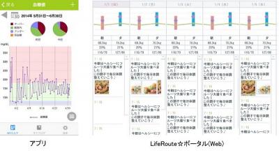 LifeRoute