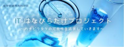 ハナビラタケ