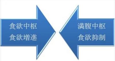 食欲抑制