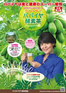 パパイヤ酵素茶