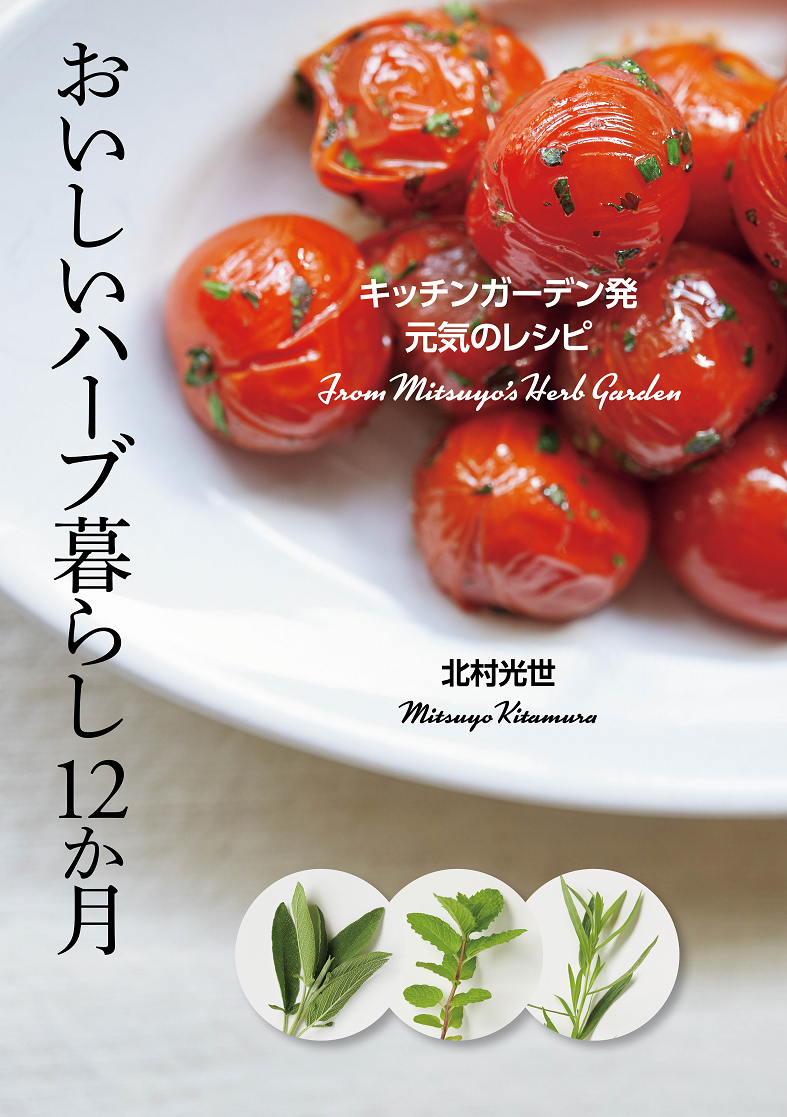 ごはんNS