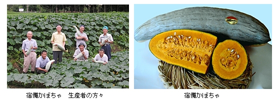 国産野菜チップス