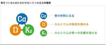 骨の健康