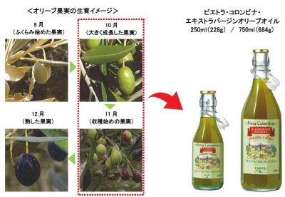 「ピエトラ・コロンビナ・エキストラバージンオリーブオイル